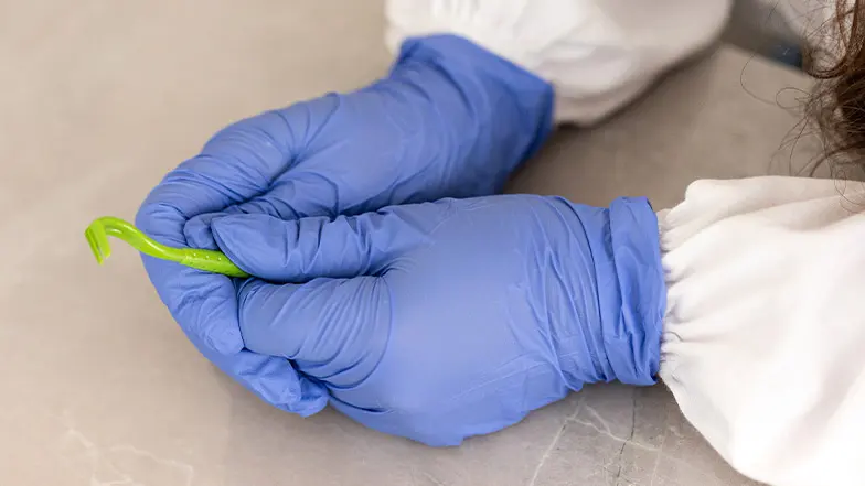 A person wearing latex gloves hold a tick twister.