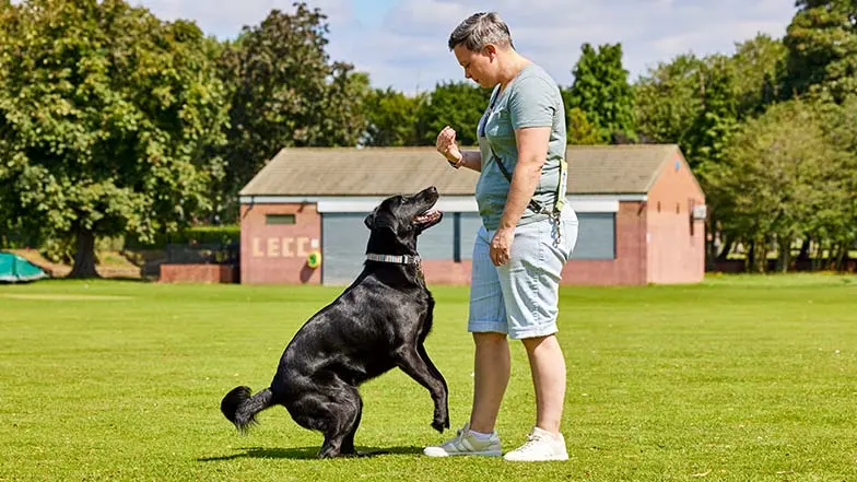 Guide dog owner Claire with guide dog Jacqui playing ball in the park.