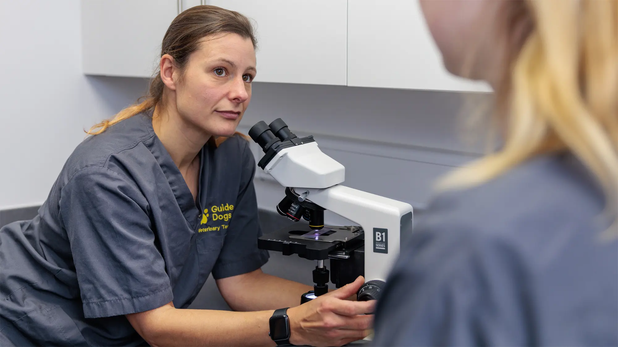 A Guide Dogs Veterinary Nurse leans forward to use a microscope in a Guide Dogs vet clinic.