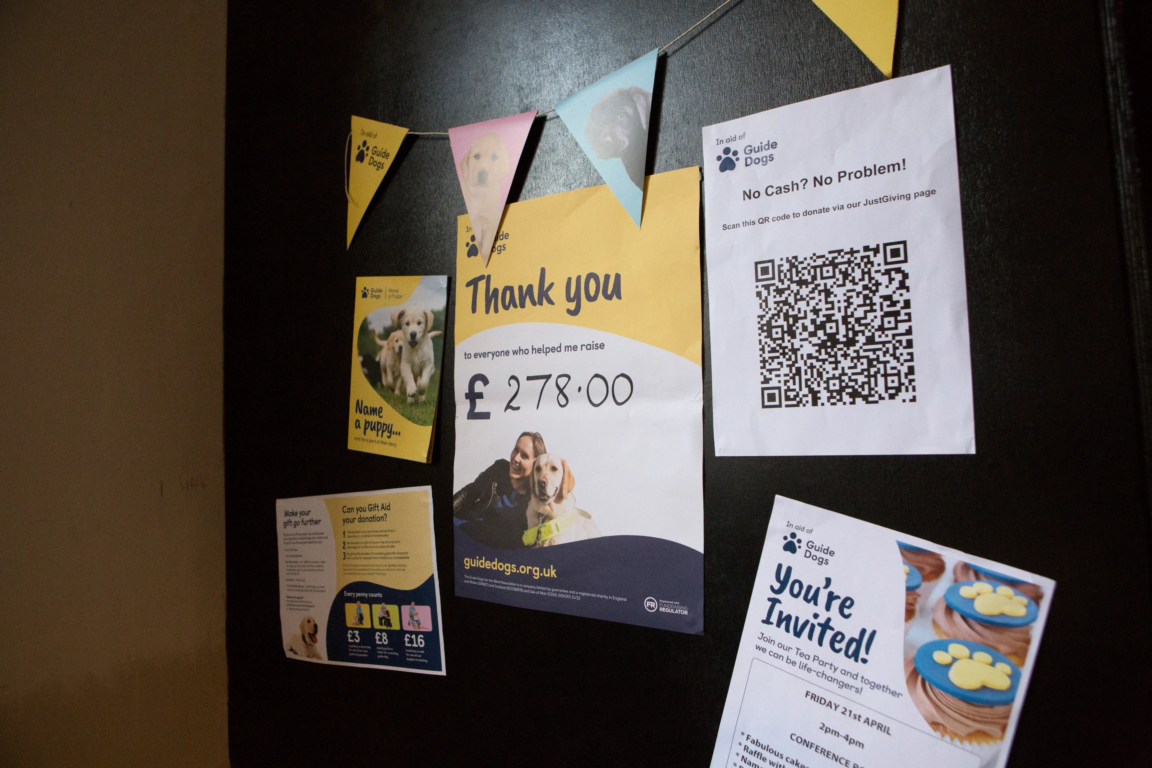 A Guide Dogs fundraising pack on a wall, with a "thank you" poster showing £278 was raised.