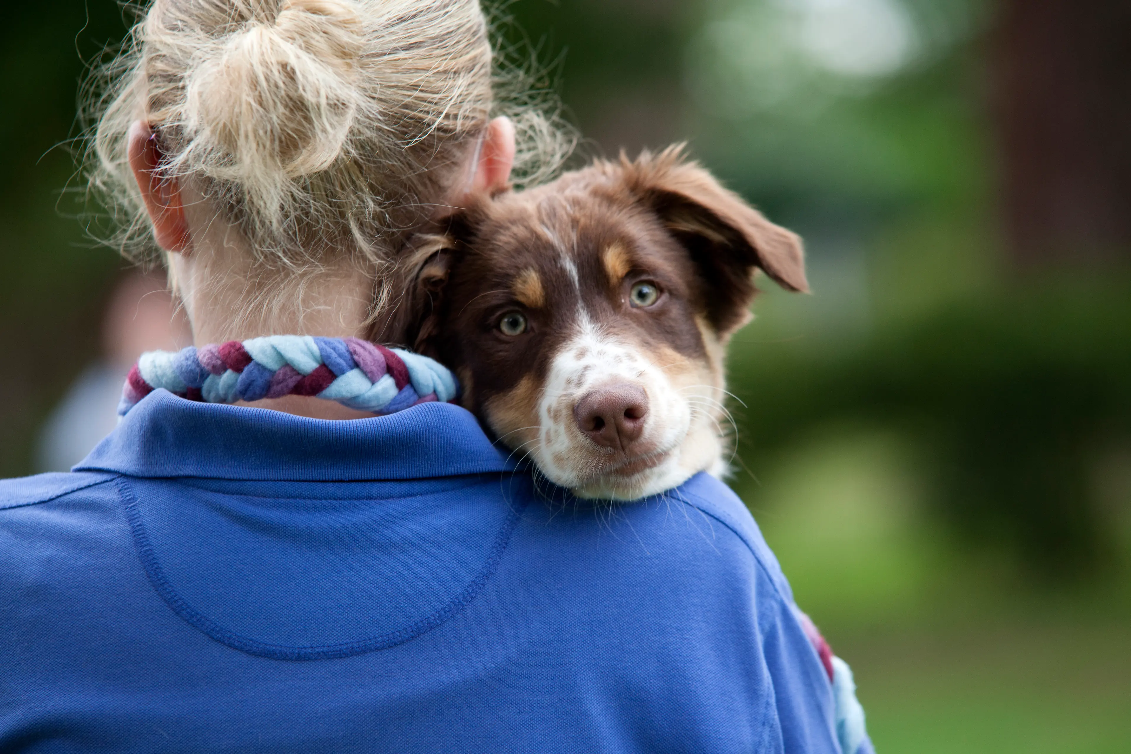 A woman cuddles a brown pet dog.