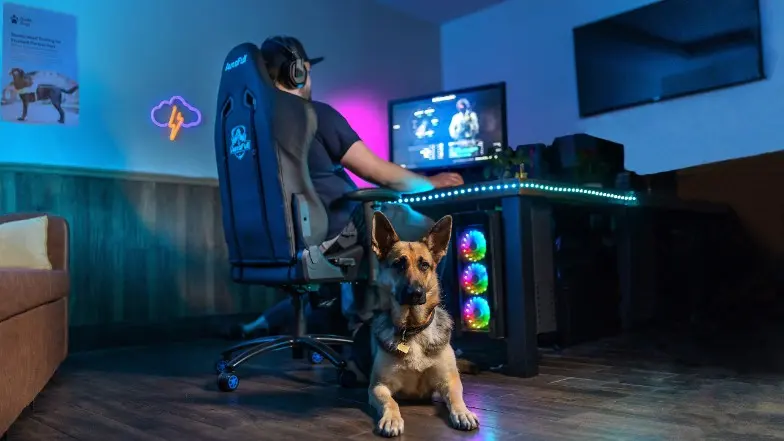 A person playing a computer game with their German shepherd sitting beside them
