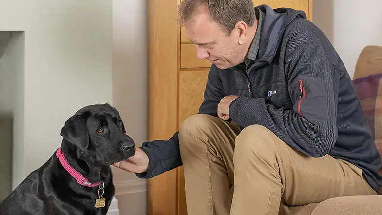 A volunteer training dog fosterer sits in his living room and scratches a black Labrador guide dog in training under their chin.
