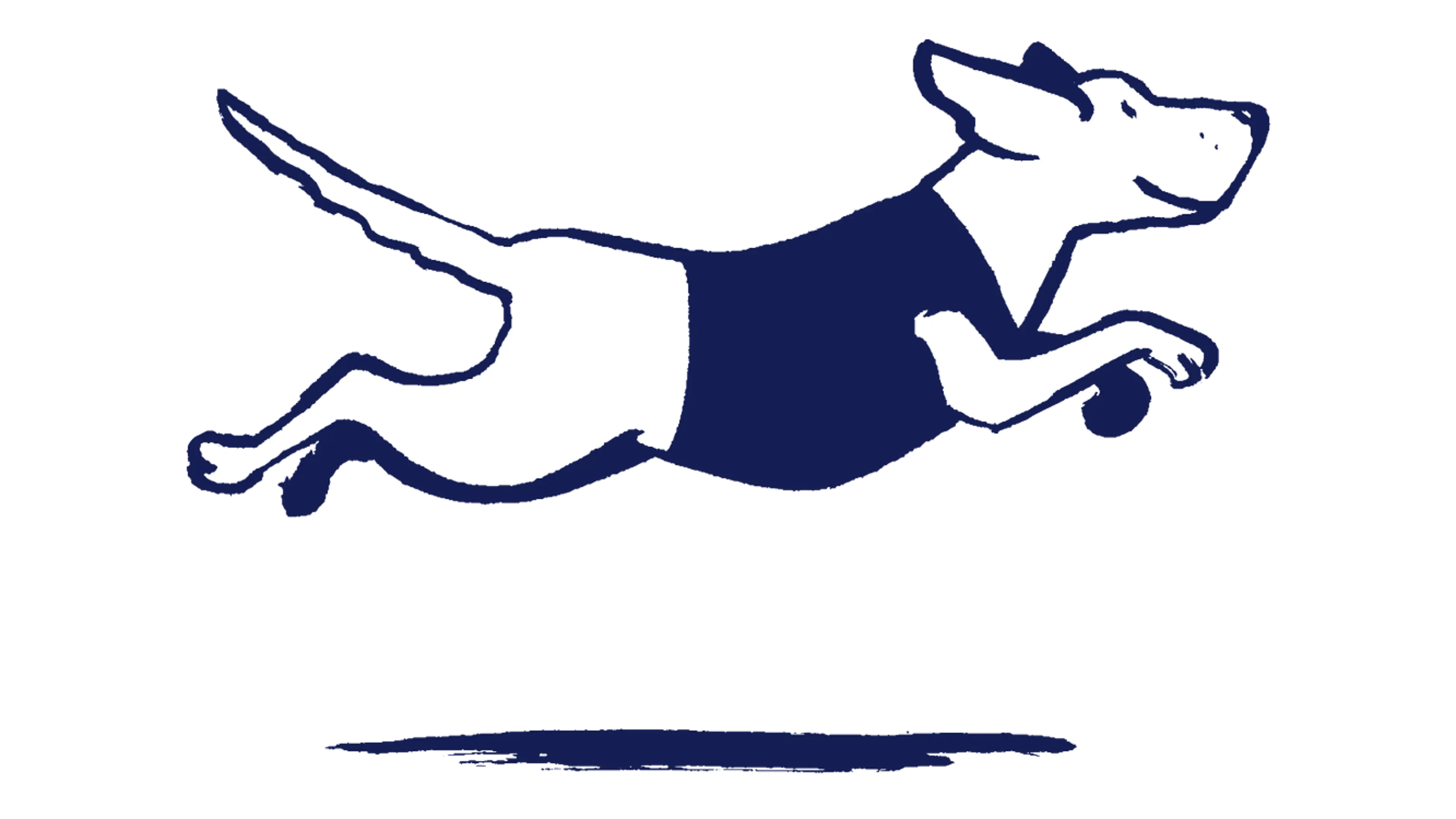 Illustration of a dog running, leaping through the air. The dog is wearing a coat.