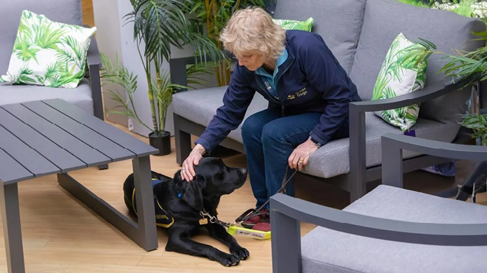 Puppy Raiser Andy sitting on some garden furniture inside a shop petting Jack.