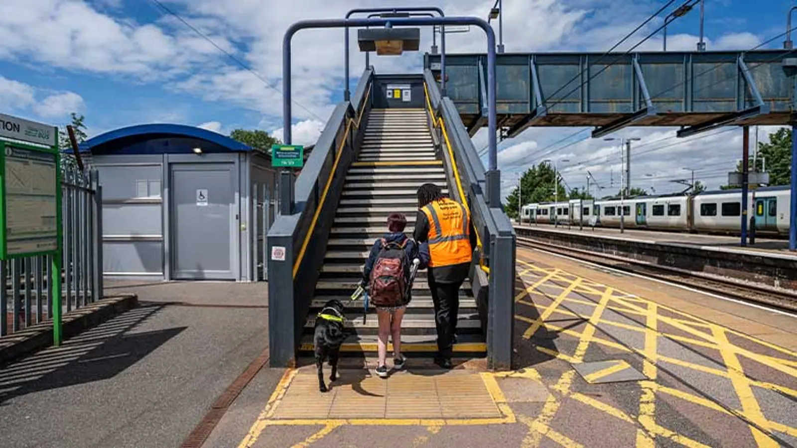 A guide dog guiding a person up a flight of stairs at a train station.