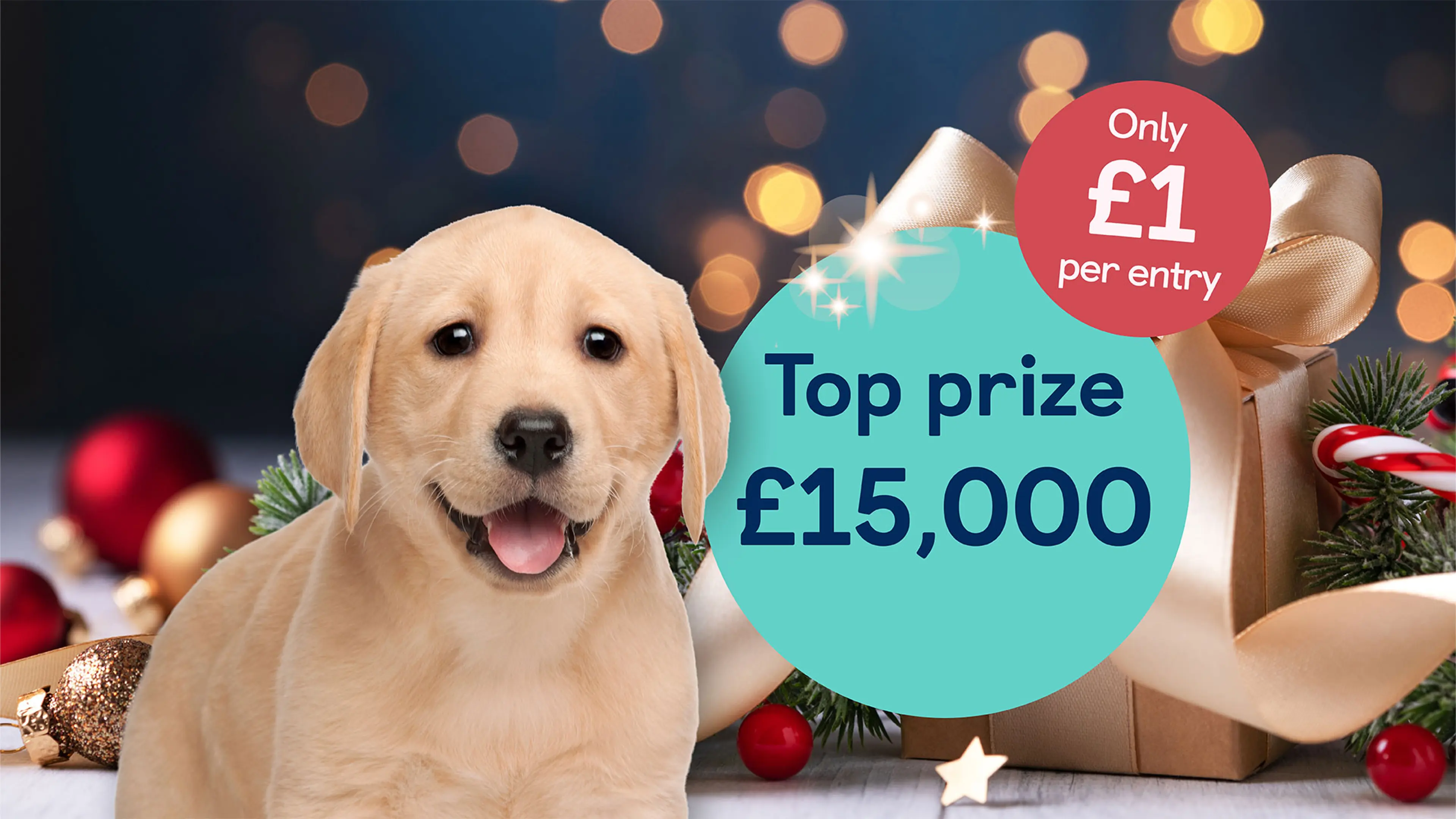 Labrador pup looking to camera in front of a Christmas background. Top prize bubble of £15,000 sits next to the text 'Only £1 per entry'.