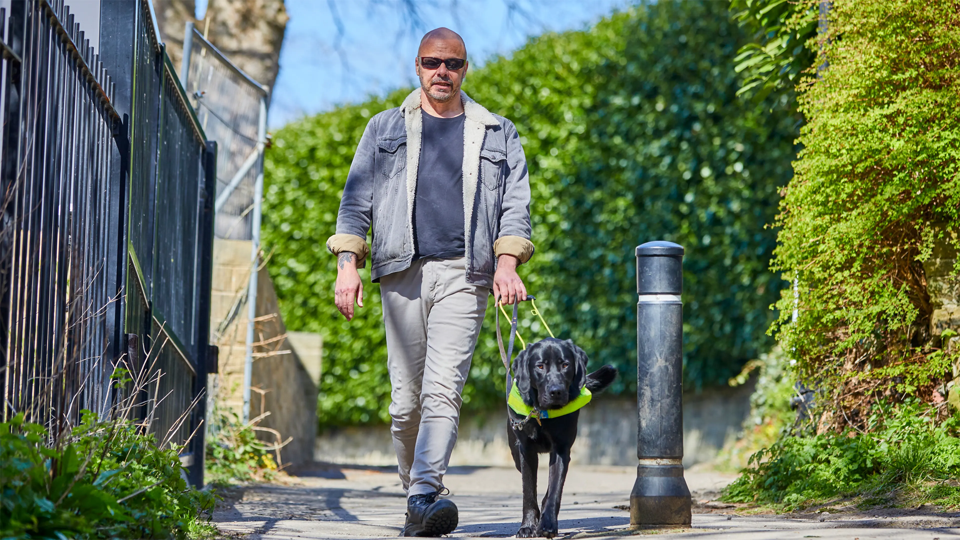Terry, a guide dog owner, walks down a lane holding the harness of his black Labrador guide dog Spencer.