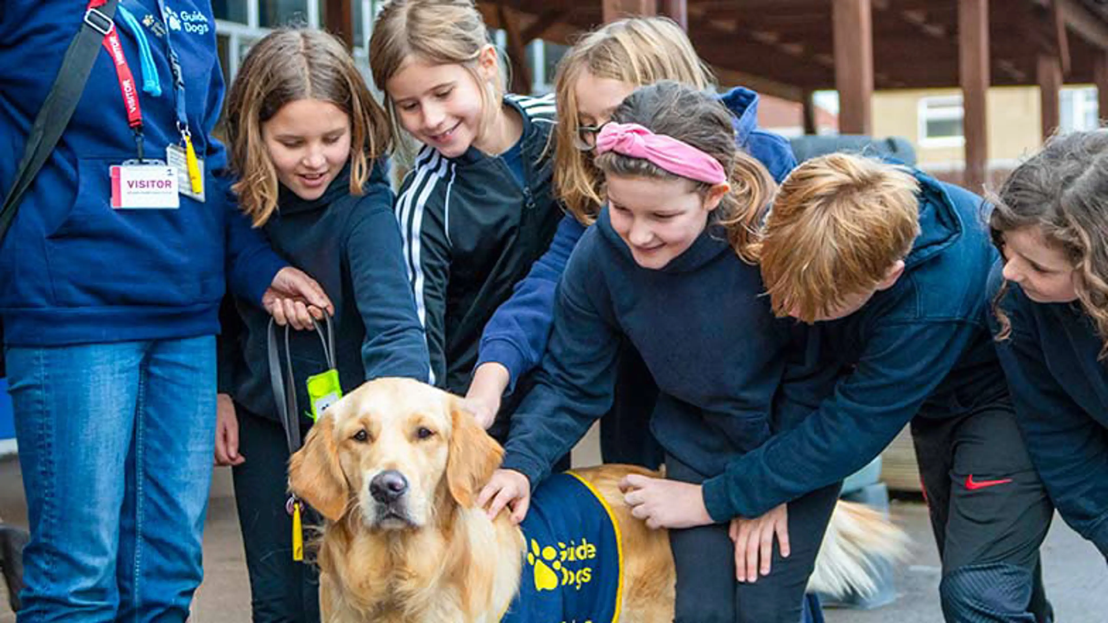 Children in a school playground stroke a golden retriever puppy with a Guide Dogs coat that is being held by a Guide Dogs volunteer.