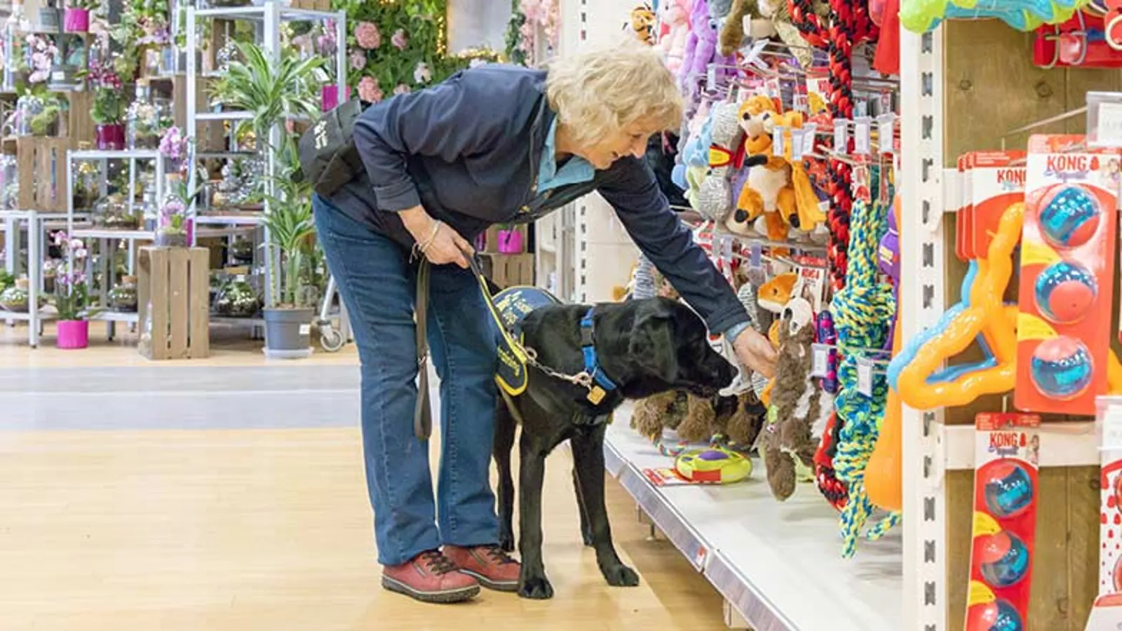 Puppy Raiser Andy and Jack in a shop aisle looking at dog toys.