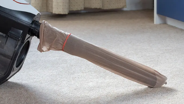 Picture of the end of a vacuum with a stocking over the end - a Guide Dogs' tip to find small objects