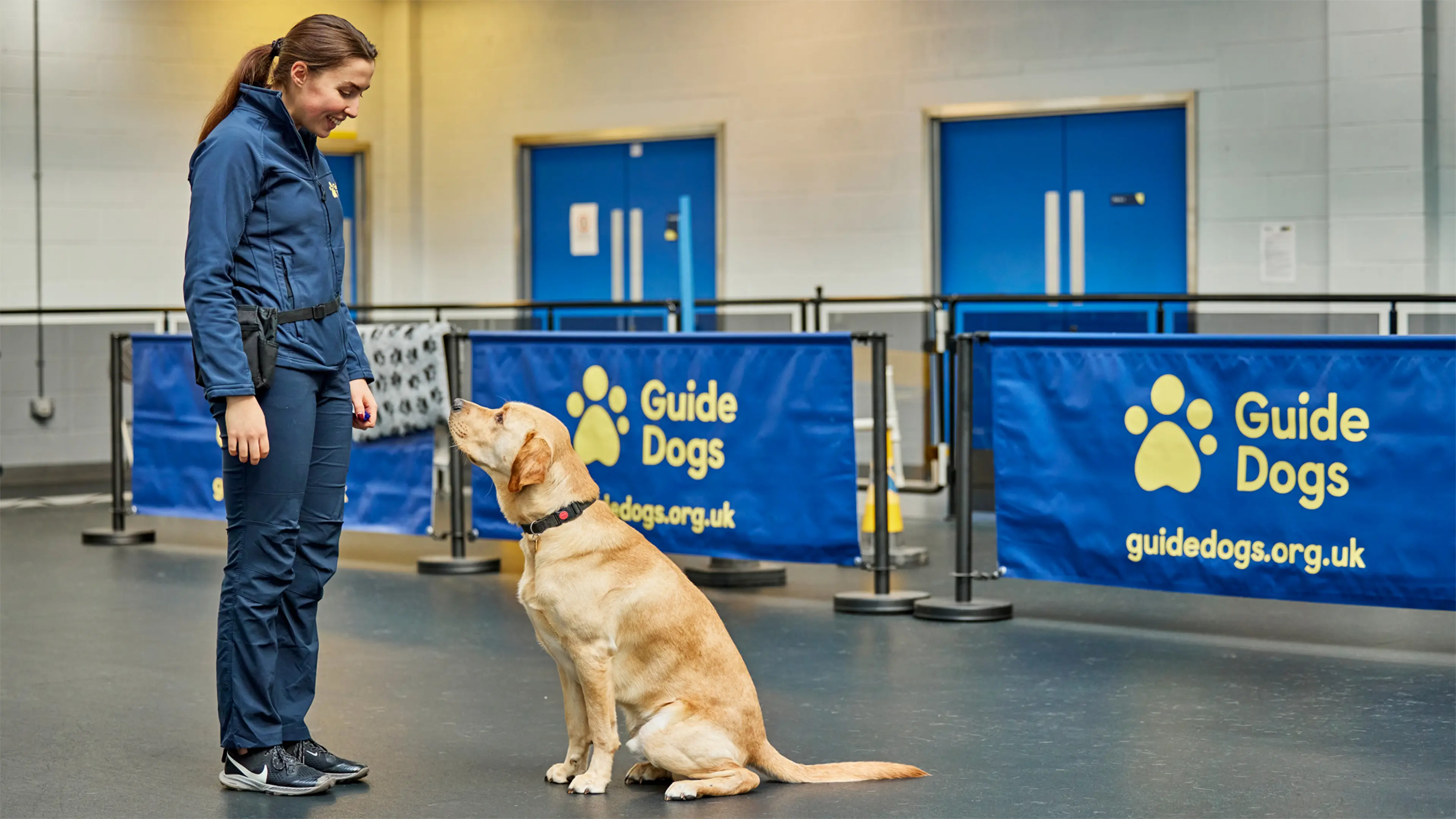 A Guide Dog Trainer from the Guide Dogs Academy practises one of our key behaviours with a guide dog in training, who sits in front of her.