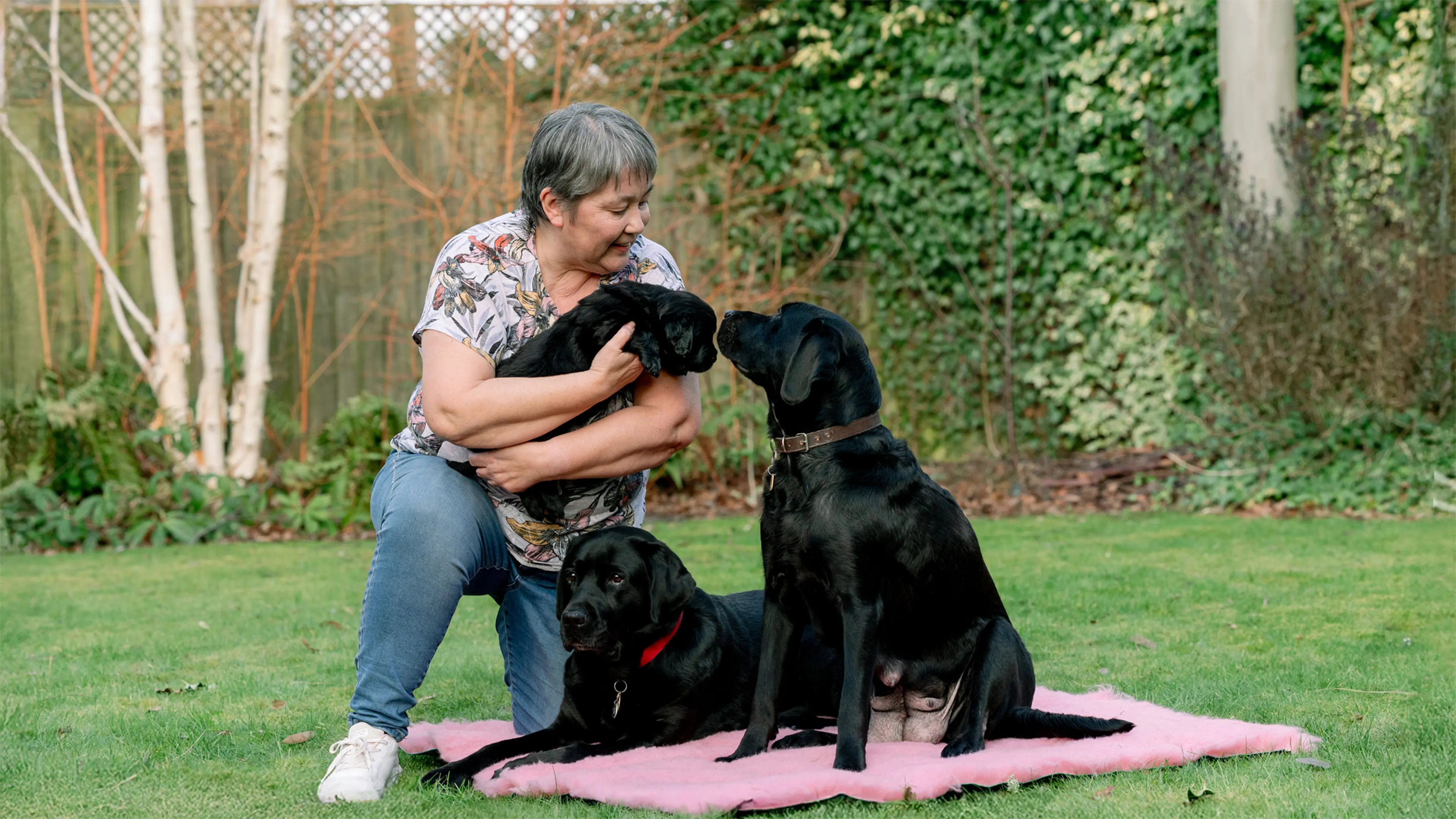 Volunteer Breeding Dog Holder Philippa, retired guide dog mum Vicky, guide dog mum Tina and one of Tina's puppies pose for a photo.