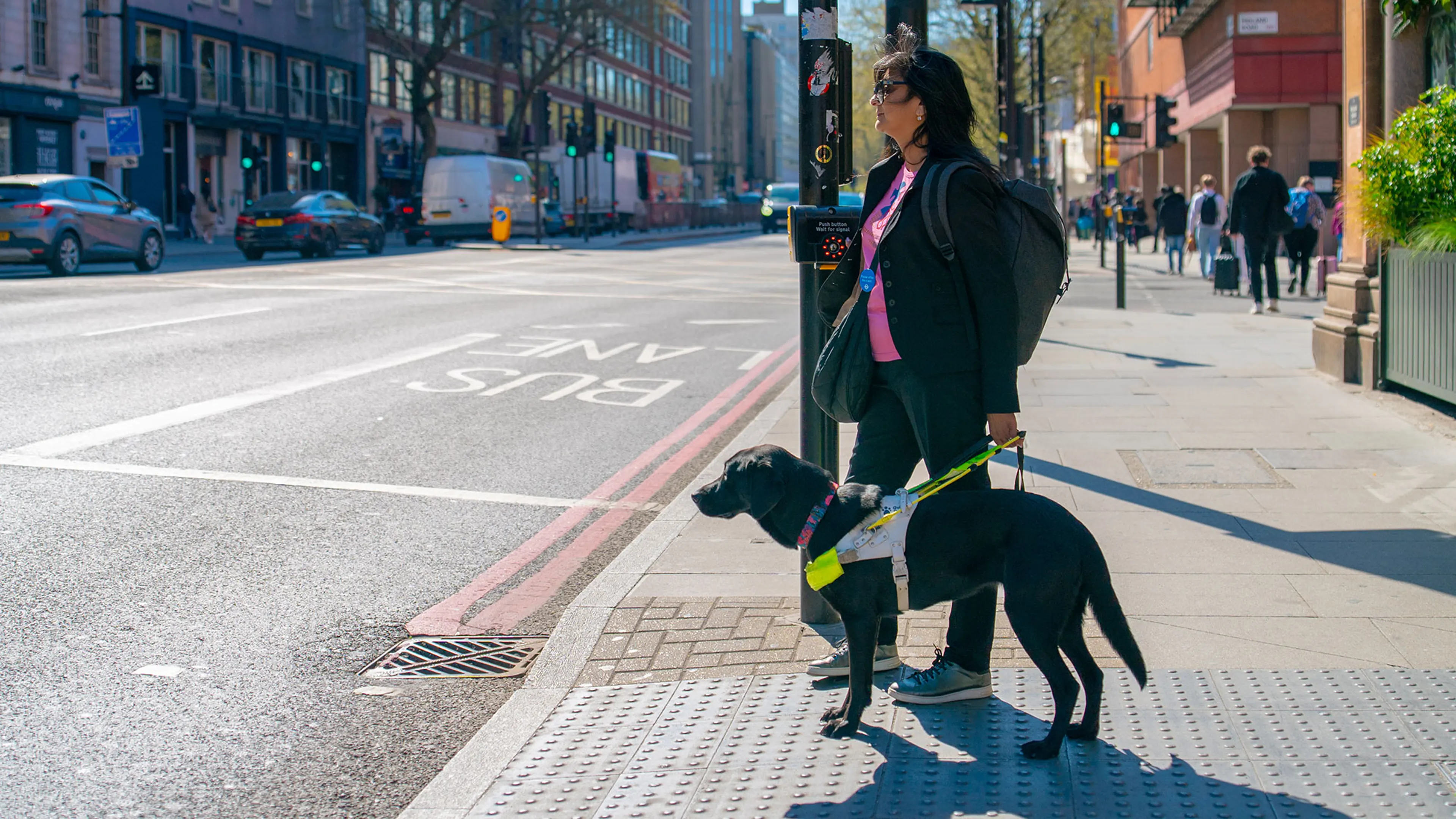 GDO Deborah and guide dog Betty in harness standing at pedestrian lights waiting to cross the road.