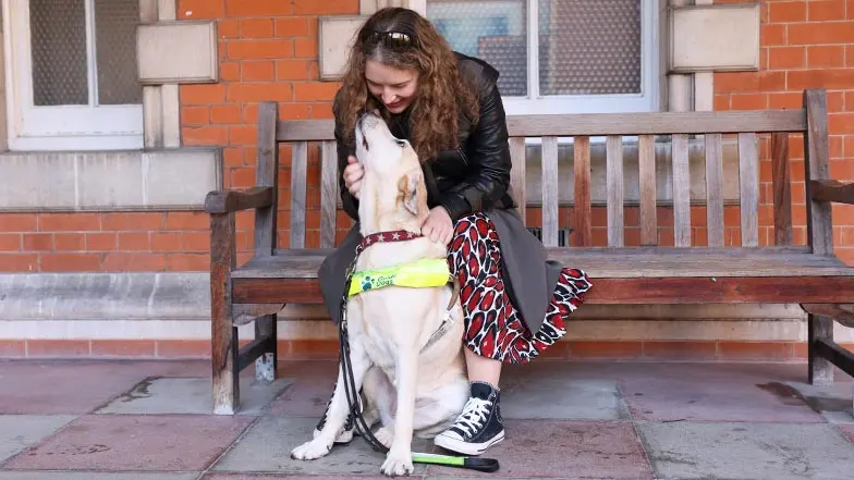Guide dog owner Anica sitting on a bench looking down at Labrador guide dog Lassie who is looking up towards her.