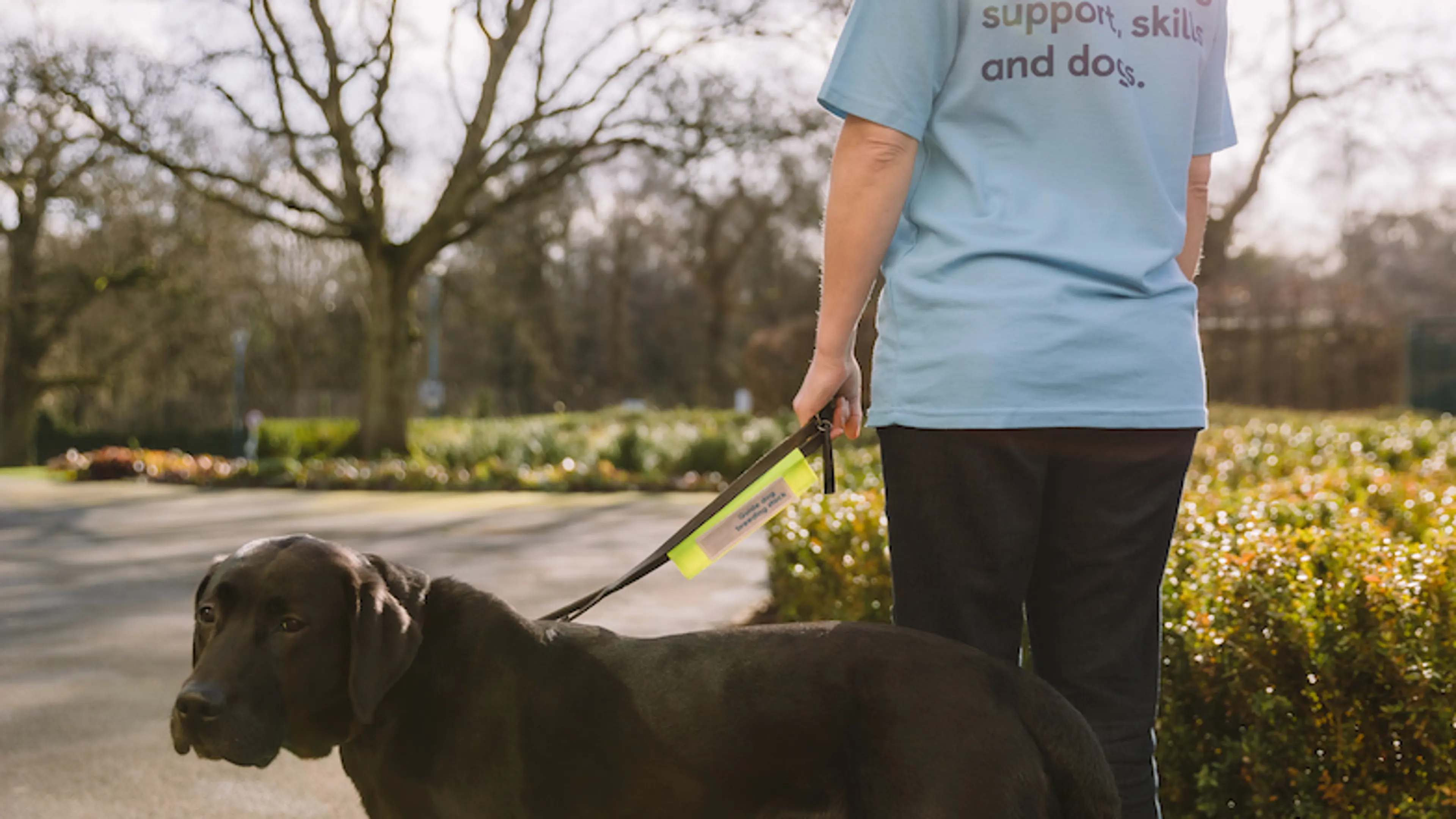 guide-dog-in-garden.jpg