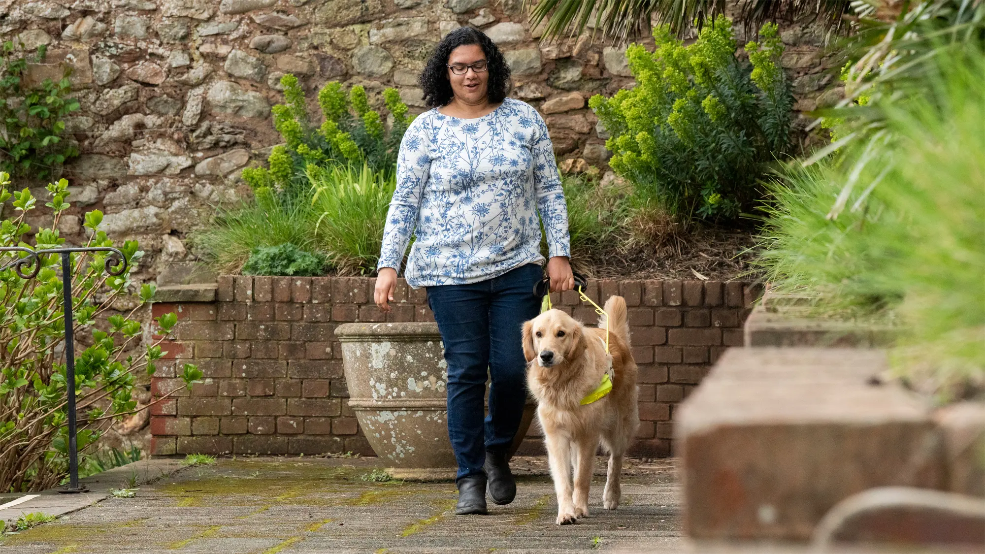 Guide dog owner Lena and her golden retriever guide dog Alex walk in a garden past lots of green leafy plants. 
