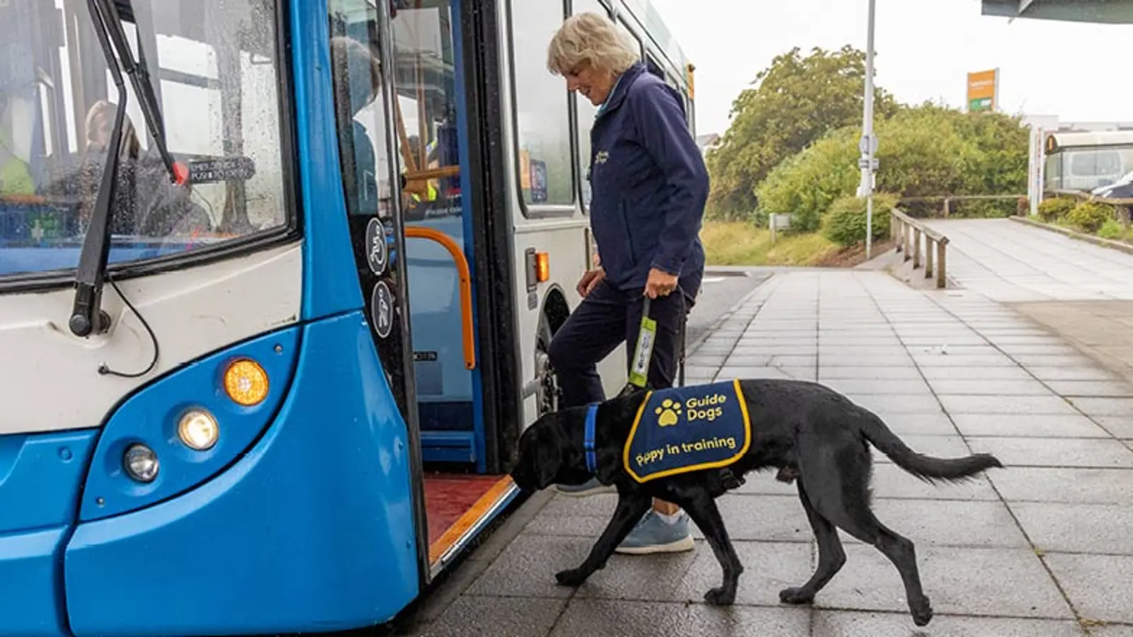 Jack and Puppy Raiser Andi get onto a bus together.