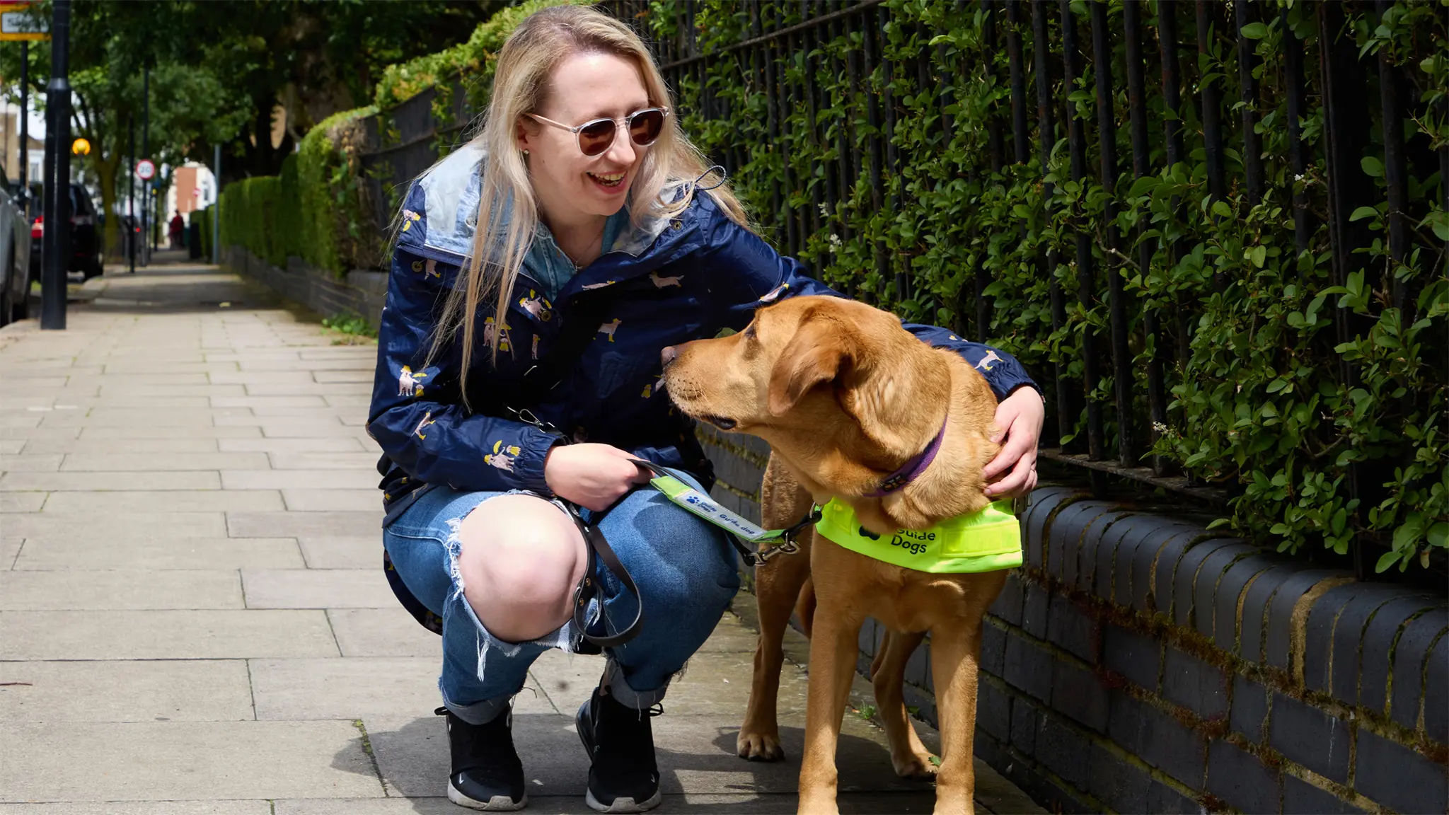 Guide Dogs Phone Number & Contact Details | Guide Dogs UK