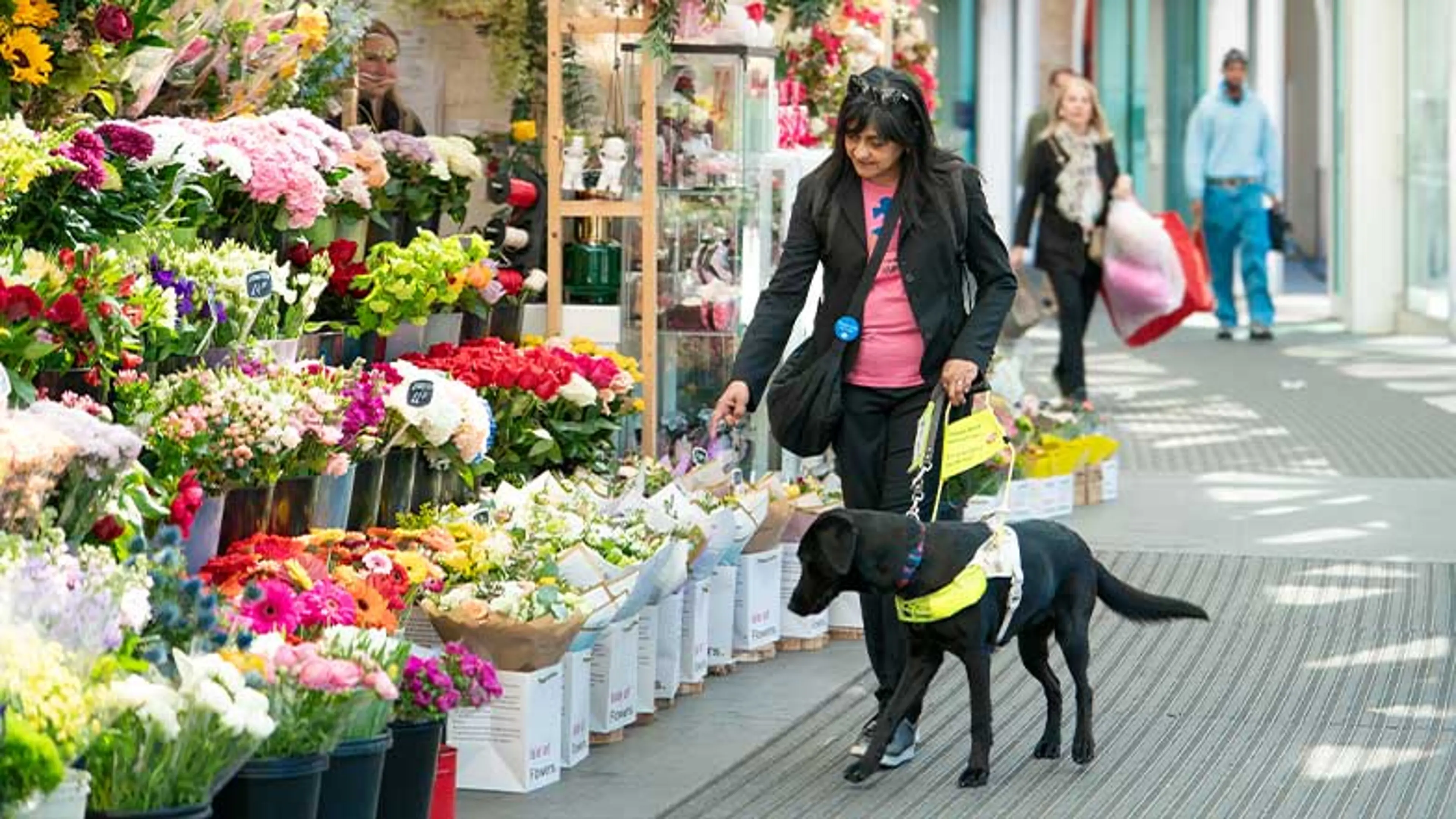 A guide dog owner approaches a colourful display of flowers with her guide dog.