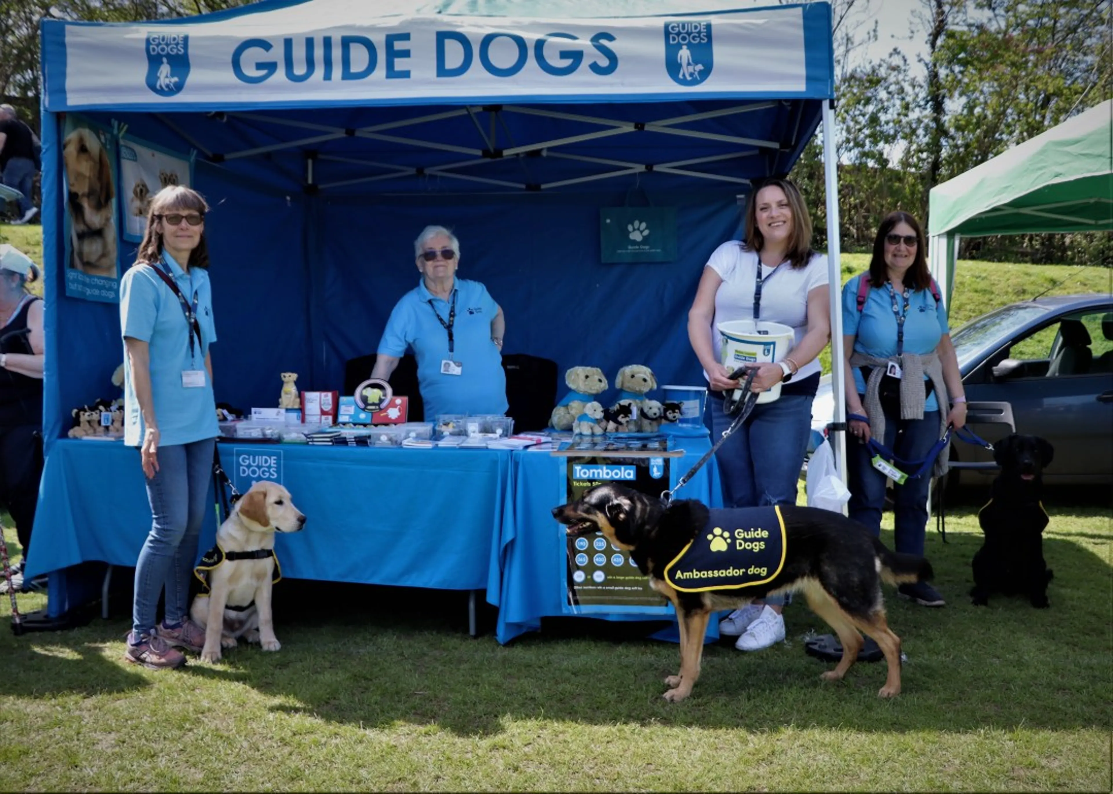 Tracey Berridge, Head of Volunteering leans against a Guide Dogs branded gazebo while holding onto a collection bucket and the lead of a German Shepherd ambassador dog. She’s with three members of her local fundraising group; one behind a table with two others holding onto the leads of guide dog puppies