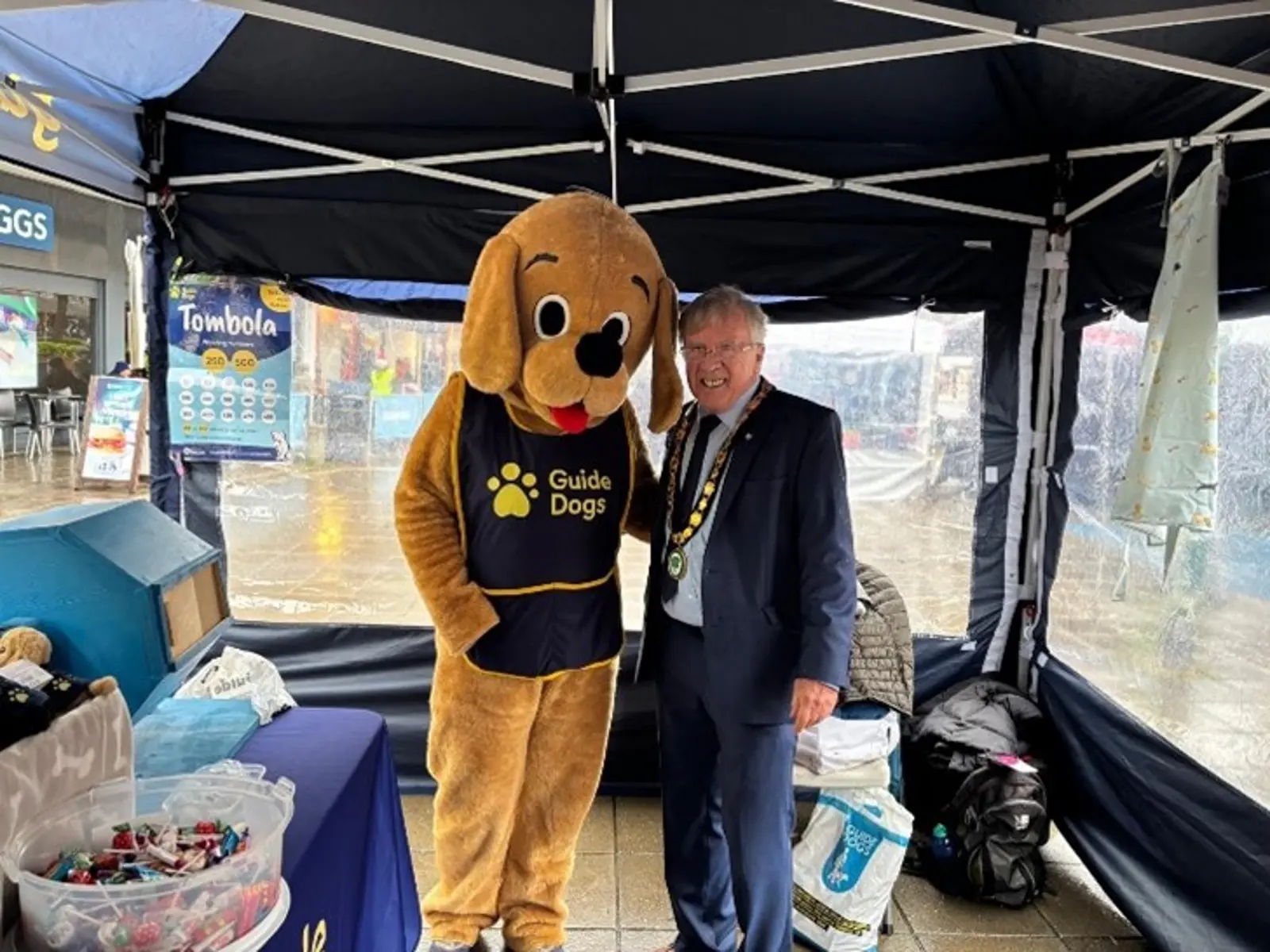 Volunteer fosterer Cami wears the Guide Dogs mascot suit inside a Guide Dogs branded gazebo while posing next to a mayor who is wearing a suit and mayoral chains