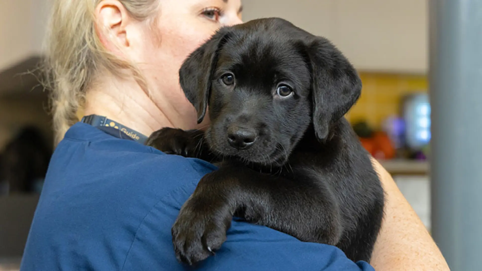 Frank looking over the shoulder of a Guide Dogs staff member