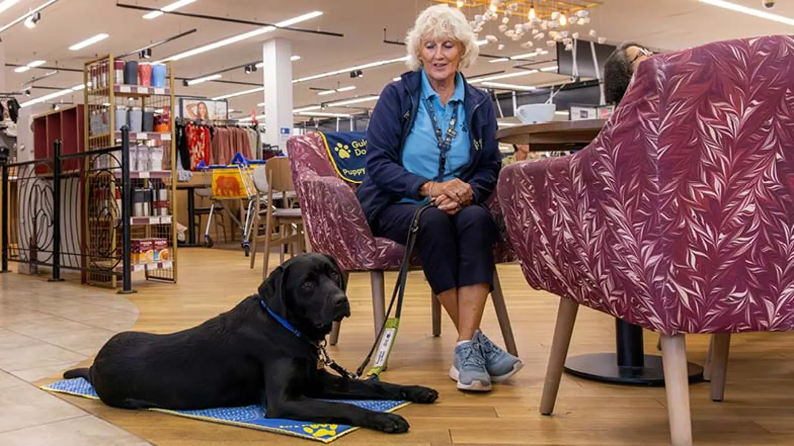 Jack lies on a mat next to Puppy Raiser Andi at a café.