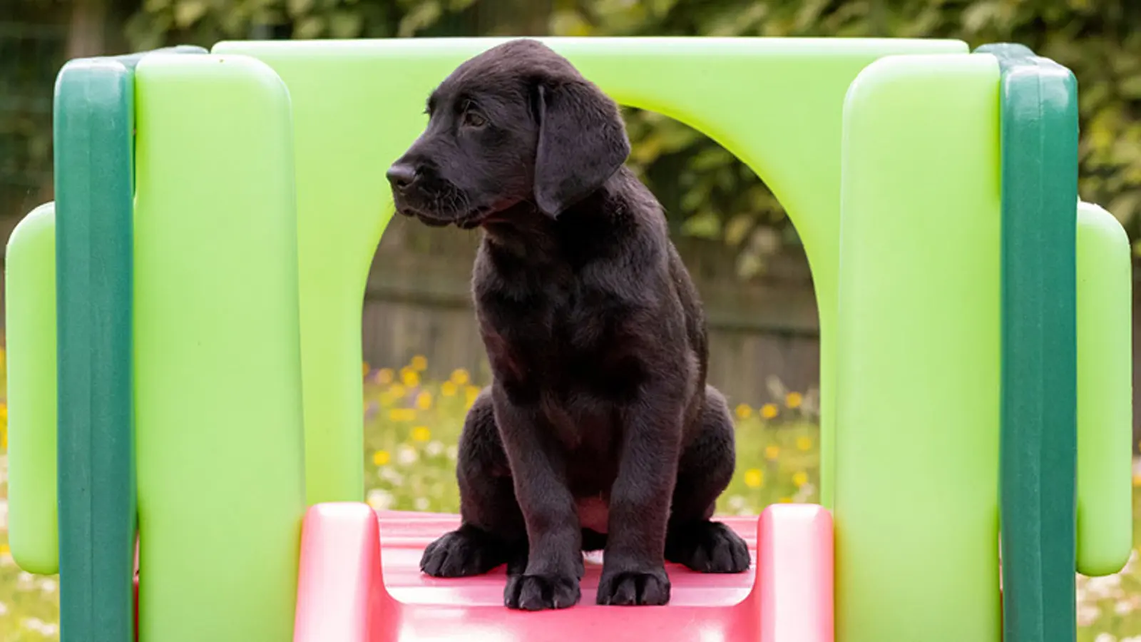 Clara sitting at the top of a slide looking away from the camera.