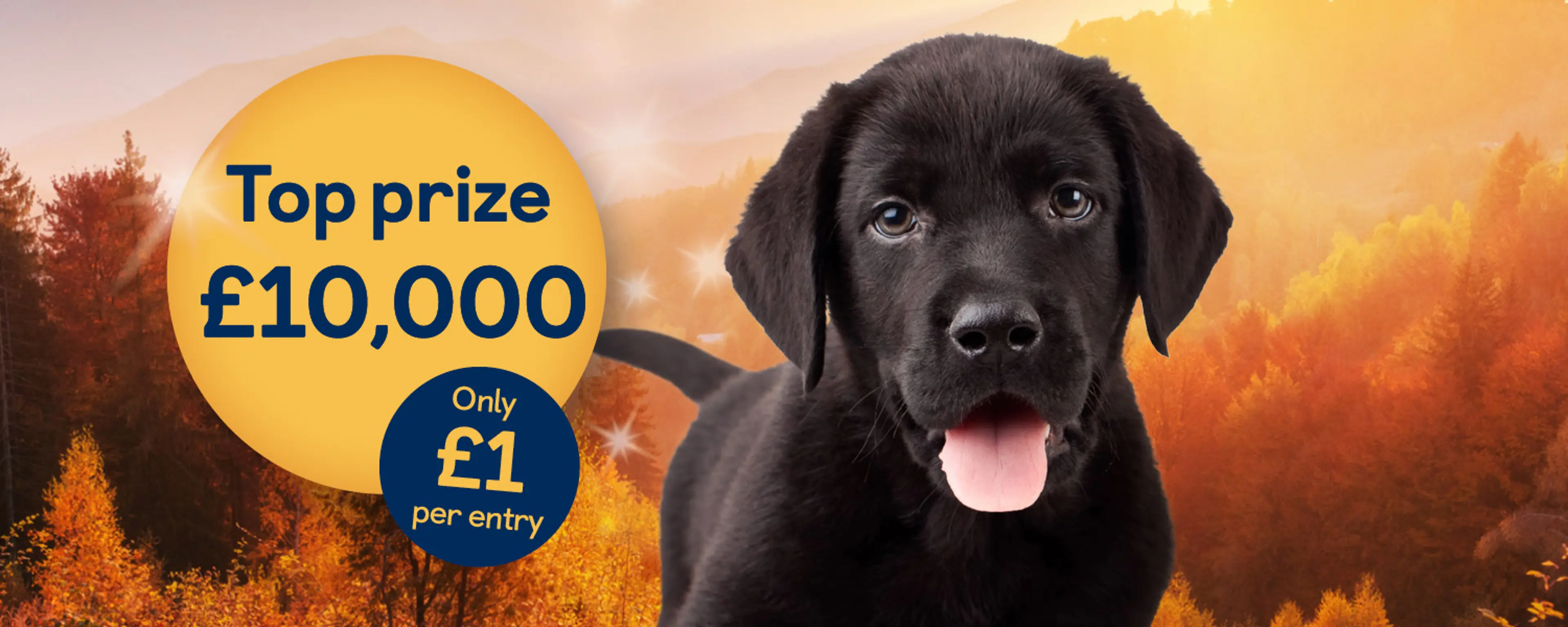 Black Labrador with tongue out looking to camera next to prize bubbles displaying 'Only £1 per entry' and 'Top Prize £10,000'.