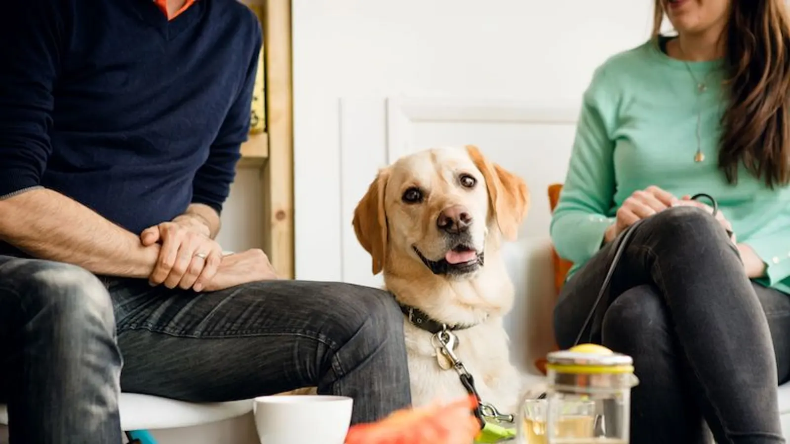 couple-having-coffee-with-guide-dog.jpg