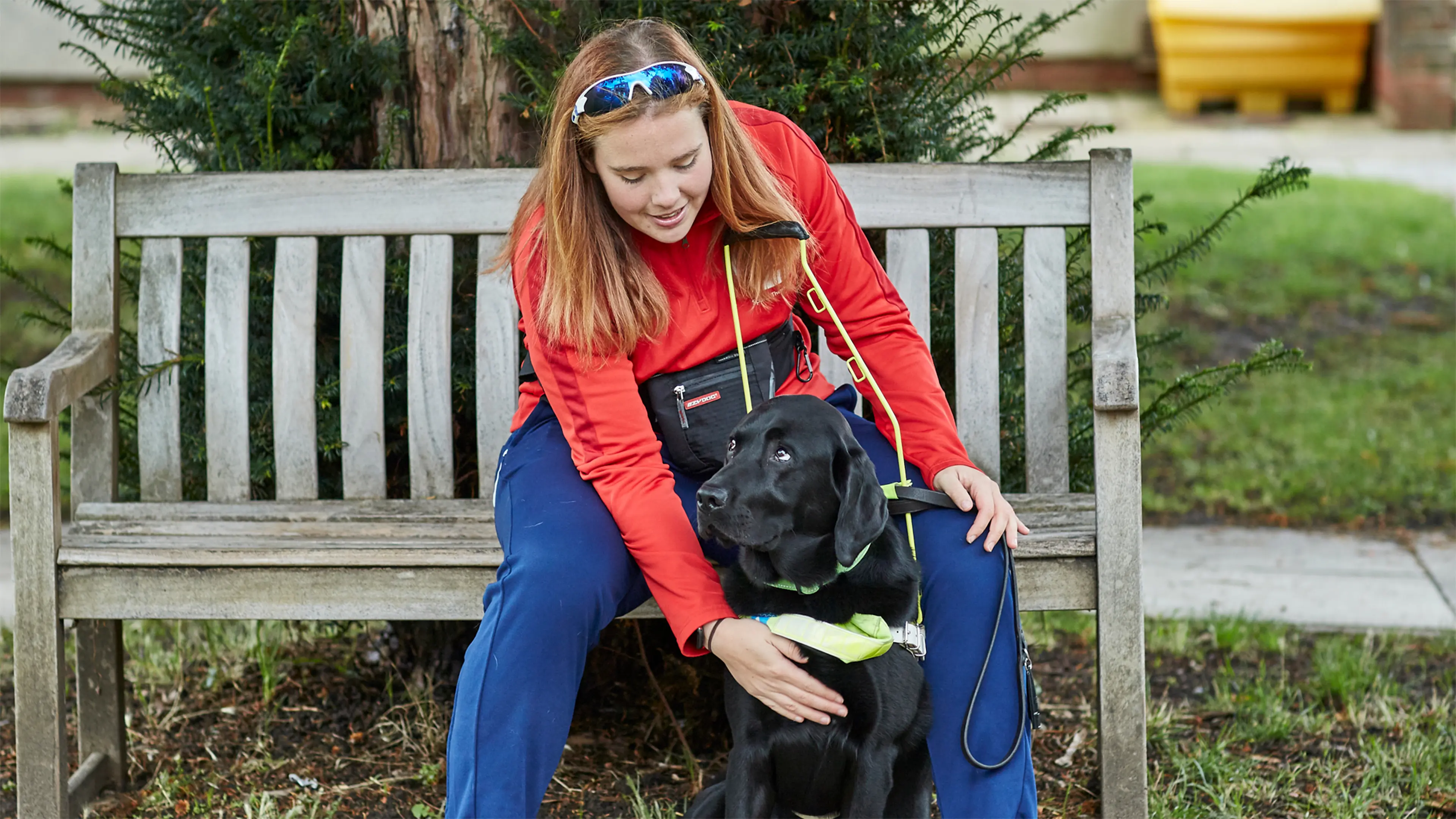 Guide dog owner Lois sits on a park bench and pets her guide dog Buster who sits between her knees. 