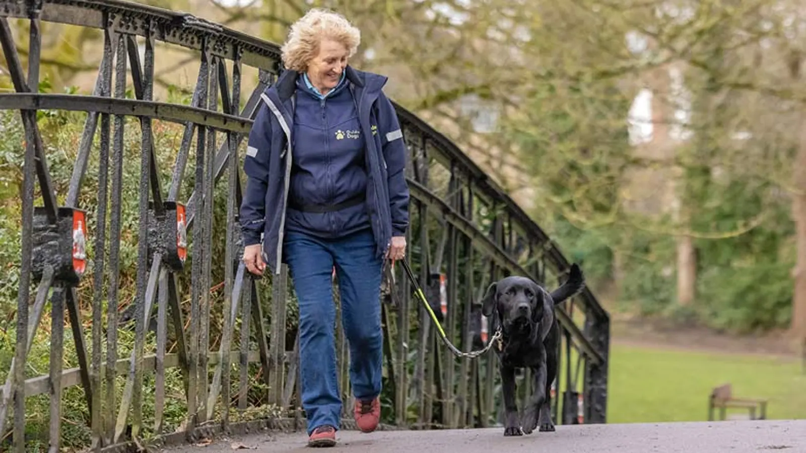 Puppy Raiser Andy and Jack walking across a foot bridge.
