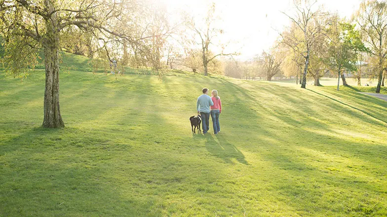 2 people and black guide dog walking in a park