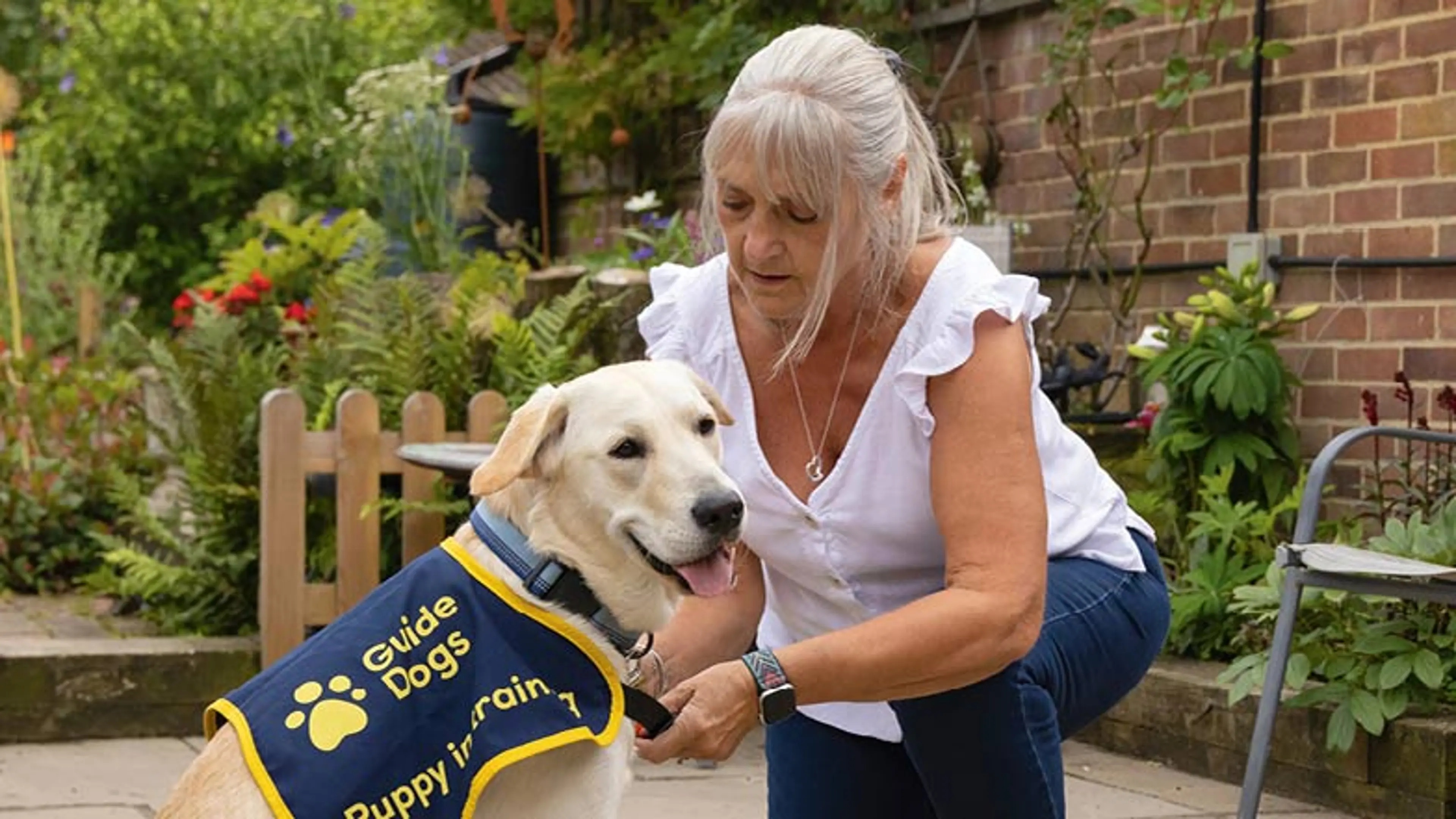 Close up of Puppy Raiser Noreen putting on Hazel's puppy coat